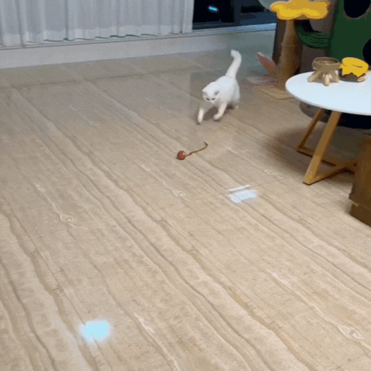 Minge Interactivă pentru Pisici cu LED