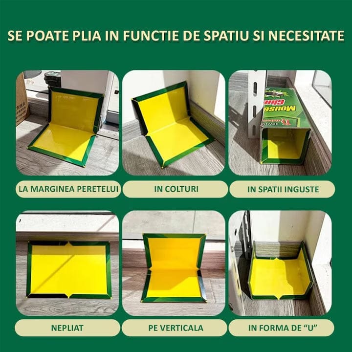 Capcana adeziva pentru soareci si sobolani, fara miros