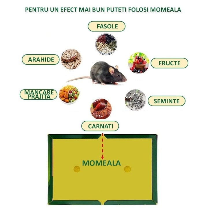 Capcana adeziva pentru soareci si sobolani, fara miros