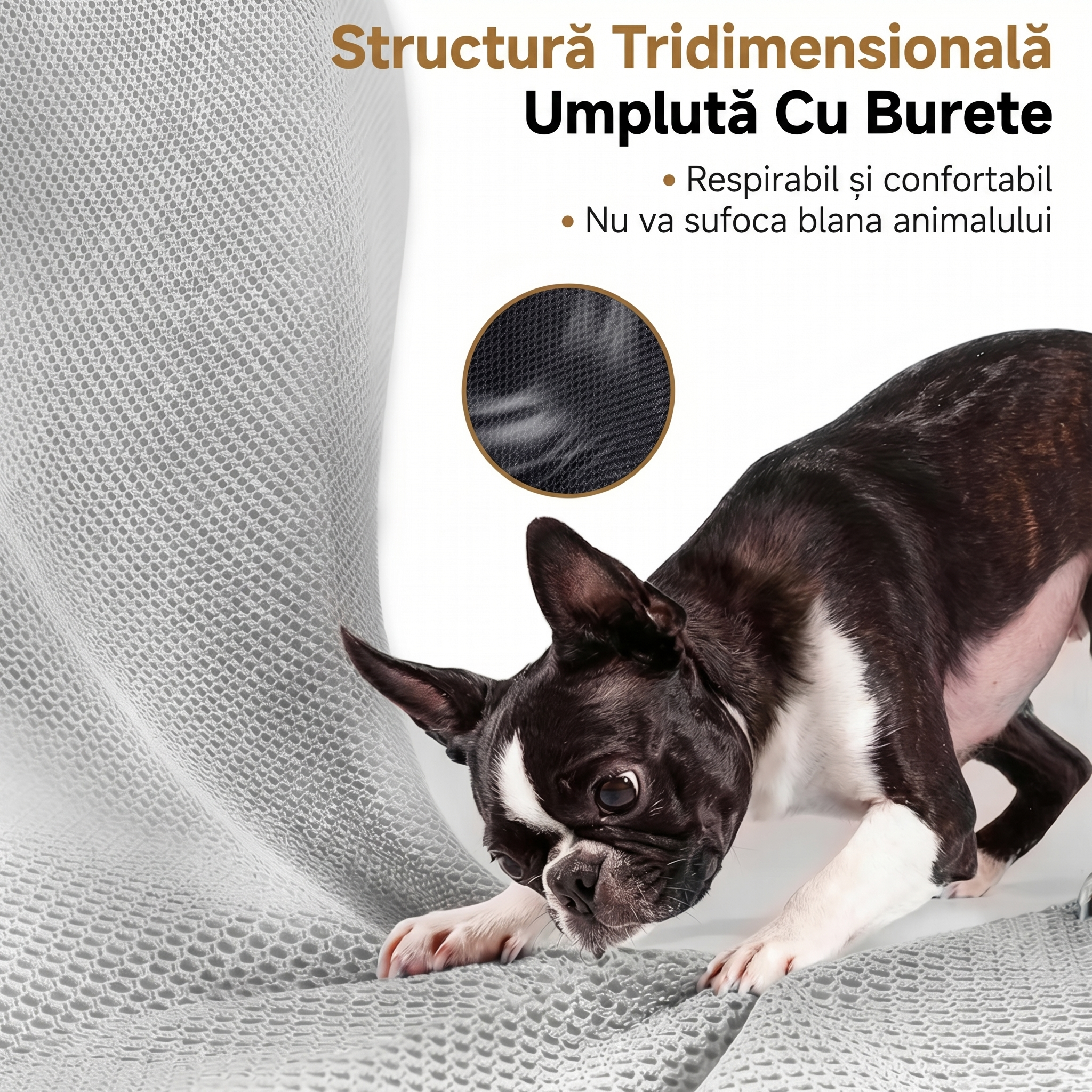 Set cu Ham și Lesă Tip Geantă pentru Căței