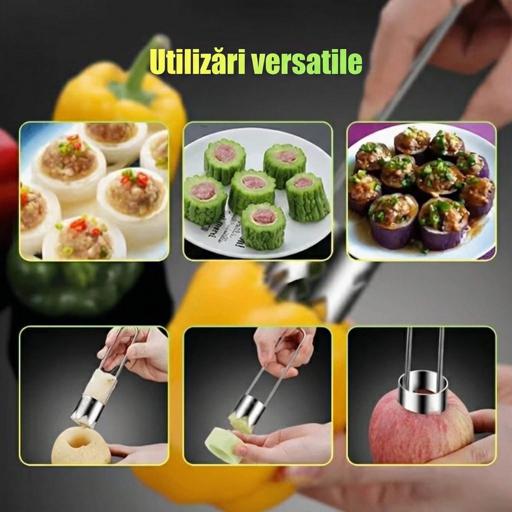 Extractor de Semințe din Oțel Inoxidabil