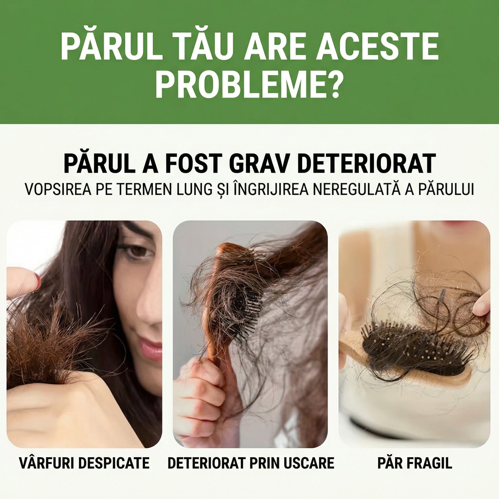 Șampon Solid 3-în-1, Formulă pe Bază de Plante, Amestec Hrănitor, Întărire Rădăcini